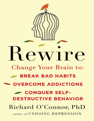 Rewire_Change_Your_Brain_to_Break.pdf
